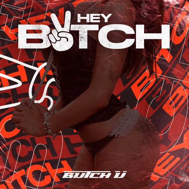 Обложка Hey Bitch
