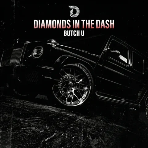 Обложка «Diamonds in the Dash»