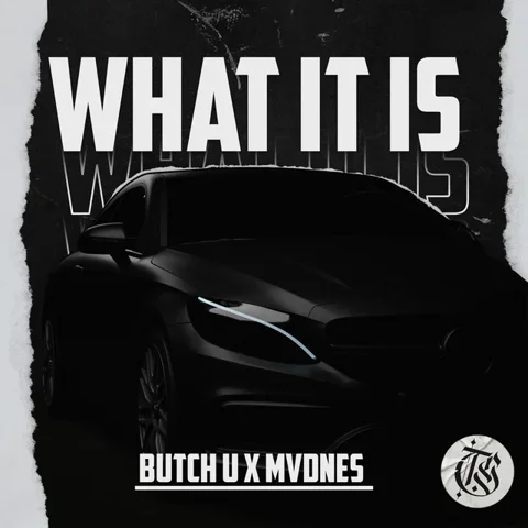 Обложка «What It Is»