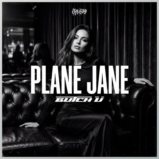 Обложка Plane Jane