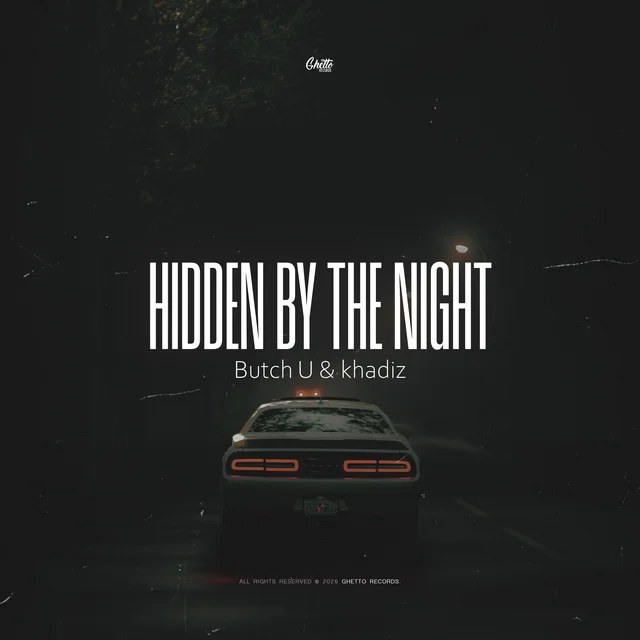 Cover Hidden by the Night