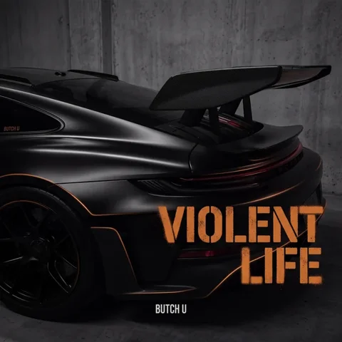 Обложка «Violent Life»