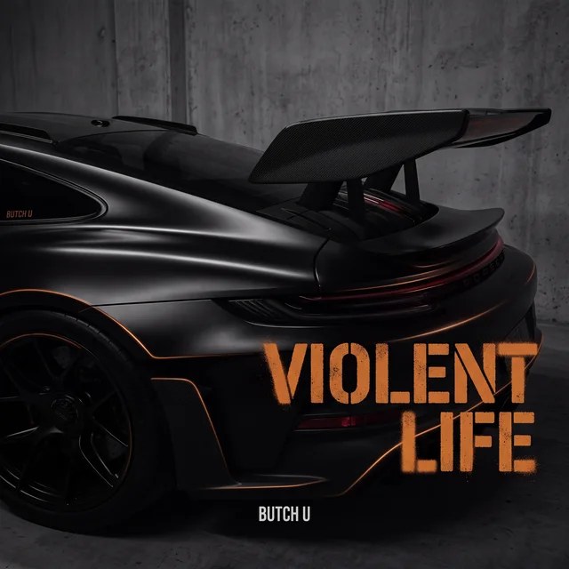 Cover Violent Life